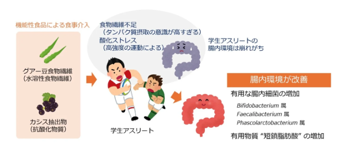 カバー画像:森下仁丹・摂南大学ら、機能性食品による学生アスリートの腸内環境改善を実証