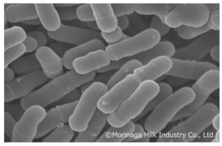 アイキャッチ:森永乳業、ビフィズス菌M-63で新生児の腸内菌叢改善を確認