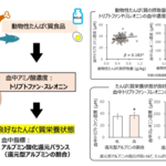 アイキャッチ:妊娠期のたんぱく質栄養状態に特定の血中アミノ酸濃度が関係