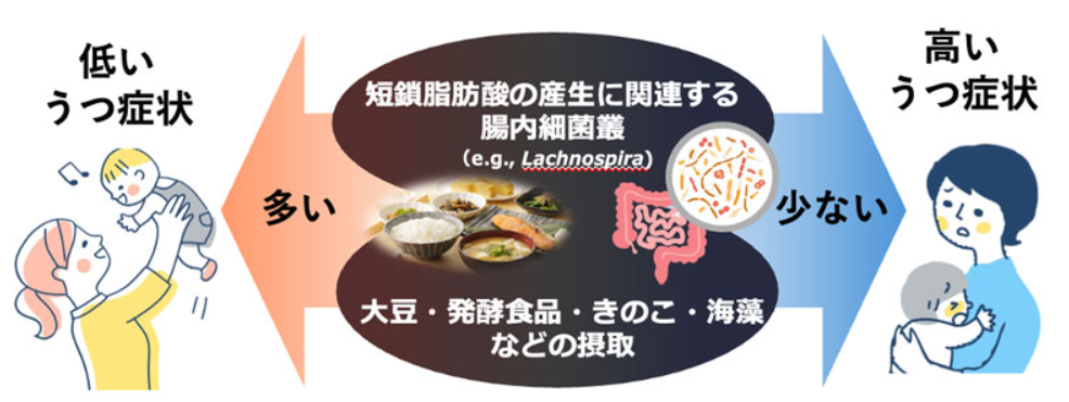 カバー画像:産後うつが短鎖脂肪酸の産生に関わる腸内細菌叢と食習慣に関連