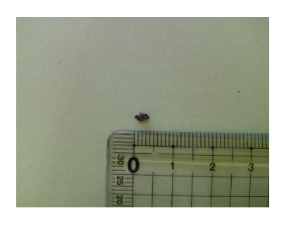 アイキャッチ:茨城県牛久市の市立岡田小学校の給食に異物が混入