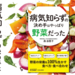 カバー画像:青春出版社、書籍『病気知らずの決め手はやっぱり野菜だった』を発売