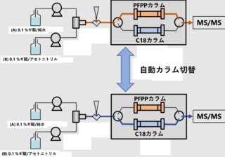 アイキャッチ:神戸大学、腸内細菌代謝物を速やかに連続定量可能な新分析法を開発