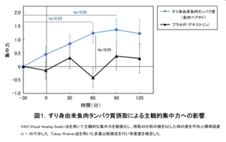 アイキャッチ:すり身由来魚肉たんぱく質摂取で集中力・知的作業効率が向上