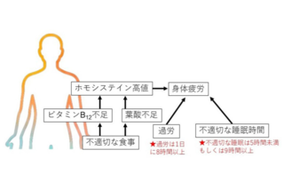 アイキャッチ:大阪公立大学ら、栄養不足と疲労や意欲低下の関連性を解明