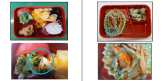 アイキャッチ:広島県、県立広島中学校の給食に異物が混入