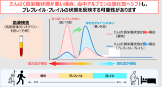 アイキャッチ:血中アルブミン酸化還元バランスがたんぱく質栄養状態とフレイルをつなぐ指標に
