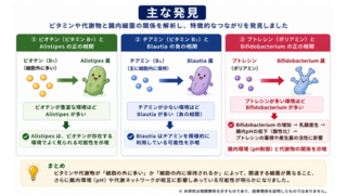 アイキャッチ:名大ら、腸内細菌とビタミンのやりとりの可視化に成功