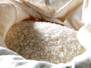 アイキャッチ:令和8年産米の予想収穫量は710万5,000トンへ減少も相対価格は42％大幅下落　主食費の負担軽減に向け給食現場で求められる献立戦略と調達計画の再構築