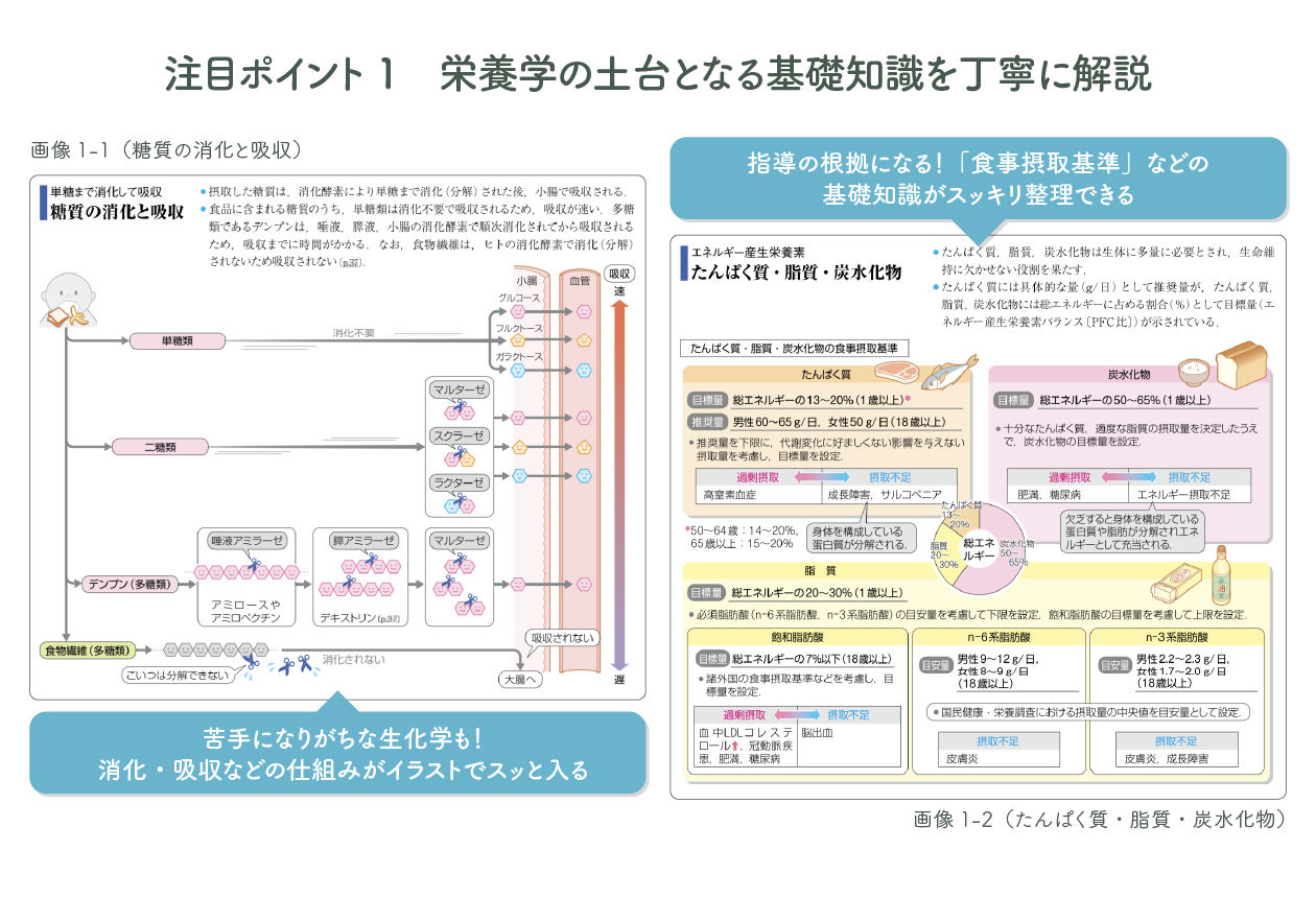 苦手になりがちな生化学も！消化・吸収などの仕組みがイラストでスッと入る

指導の根拠になる！「食事摂取基準」などの基礎知識がスッキリ整理できる