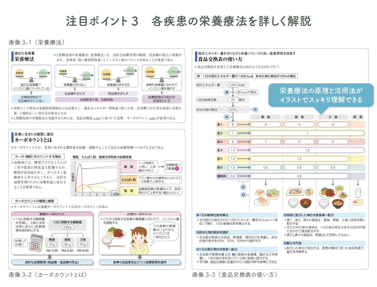 栄養療法の原理と活用法がイラストでスッキリ理解できる